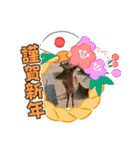 NENNGAZYOU（個別スタンプ：2）