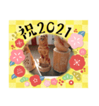 NENNGAZYOU（個別スタンプ：13）