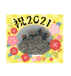 NENNGAZYOU（個別スタンプ：15）