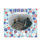 NENNGAZYOU（個別スタンプ：16）