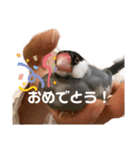 タケモト家のちょこちゃん（個別スタンプ：23）