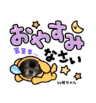 Pomeranian 姫＆凛（個別スタンプ：2）
