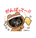 Pomeranian 姫＆凛（個別スタンプ：7）