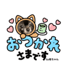 Pomeranian 姫＆凛（個別スタンプ：12）