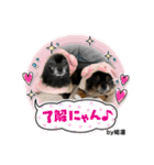 Pomeranian 姫＆凛（個別スタンプ：21）