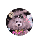 ソフィ＆イヴ（個別スタンプ：1）