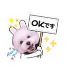 ソフィ＆イヴ（個別スタンプ：9）