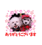 ソフィ＆イヴ（個別スタンプ：10）