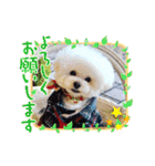 ソフィ＆イヴ（個別スタンプ：11）