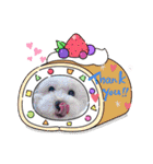 ソフィ＆イヴ（個別スタンプ：12）