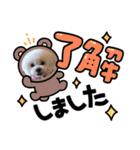 ソフィ＆イヴ（個別スタンプ：20）