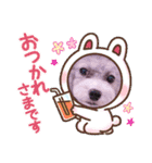 ソフィ＆イヴ（個別スタンプ：28）