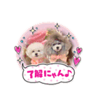 ソフィ＆イヴ（個別スタンプ：35）