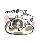 我が家の猫（part11）（個別スタンプ：4）