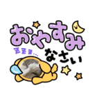 我が家の猫（part11）（個別スタンプ：6）