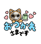 我が家の猫（part11）（個別スタンプ：7）