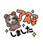 我が家の猫（part11）（個別スタンプ：8）