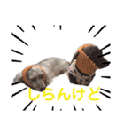 ケリーとポッキー（個別スタンプ：8）