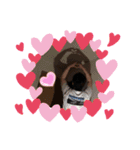 ほしかわくんスタンプ（個別スタンプ：5）