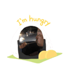 ほしかわくんスタンプ（個別スタンプ：16）