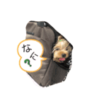 モコといっしょに（個別スタンプ：6）