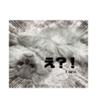 Coco.❤︎名前入り公開用（個別スタンプ：2）