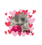 Coco.❤︎名前入り公開用（個別スタンプ：5）