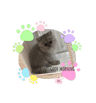 Coco.❤︎名前入り公開用（個別スタンプ：7）