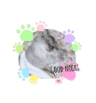 Coco.❤︎名前入り公開用（個別スタンプ：8）