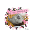 Coco.❤︎名前入り公開用（個別スタンプ：13）