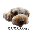 トイ犬の日常（個別スタンプ：24）