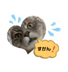 ダックスのりりちゃんと仲間(博多弁)（個別スタンプ：3）