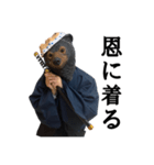 ひょっとこ侍「熊左衛門」1（個別スタンプ：3）