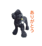 ルパンくんのスタンプ（個別スタンプ：1）