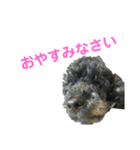 ルパンくんのスタンプ（個別スタンプ：8）