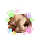 めんまとまま（個別スタンプ：12）