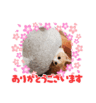 めんまとまま（個別スタンプ：15）