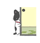 猫の信長と茶々スタンプ1（個別スタンプ：5）