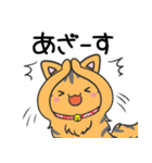 猫の信長と茶々スタンプ1（個別スタンプ：9）