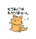 猫の信長と茶々スタンプ1（個別スタンプ：12）