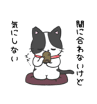 猫の信長と茶々スタンプ1（個別スタンプ：13）