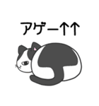 猫の信長と茶々スタンプ1（個別スタンプ：14）