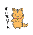 猫の信長と茶々スタンプ1（個別スタンプ：20）