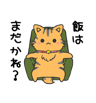猫の信長と茶々スタンプ1（個別スタンプ：21）