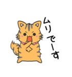 猫の信長と茶々スタンプ1（個別スタンプ：22）