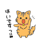 猫の信長と茶々スタンプ1（個別スタンプ：23）