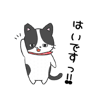 猫の信長と茶々スタンプ1（個別スタンプ：24）