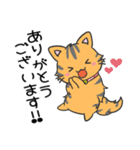 猫の信長と茶々スタンプ1（個別スタンプ：25）