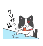 猫の信長と茶々スタンプ1（個別スタンプ：27）