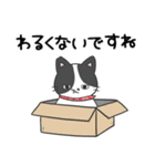 猫の信長と茶々スタンプ1（個別スタンプ：29）